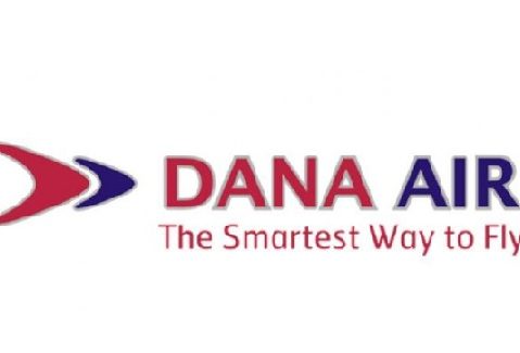logo dana air